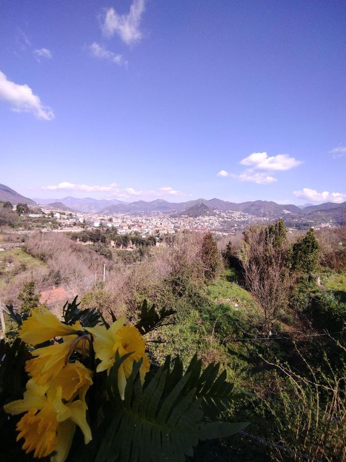 Il Casadduoglio 31 Appartement Vietri Buitenkant foto